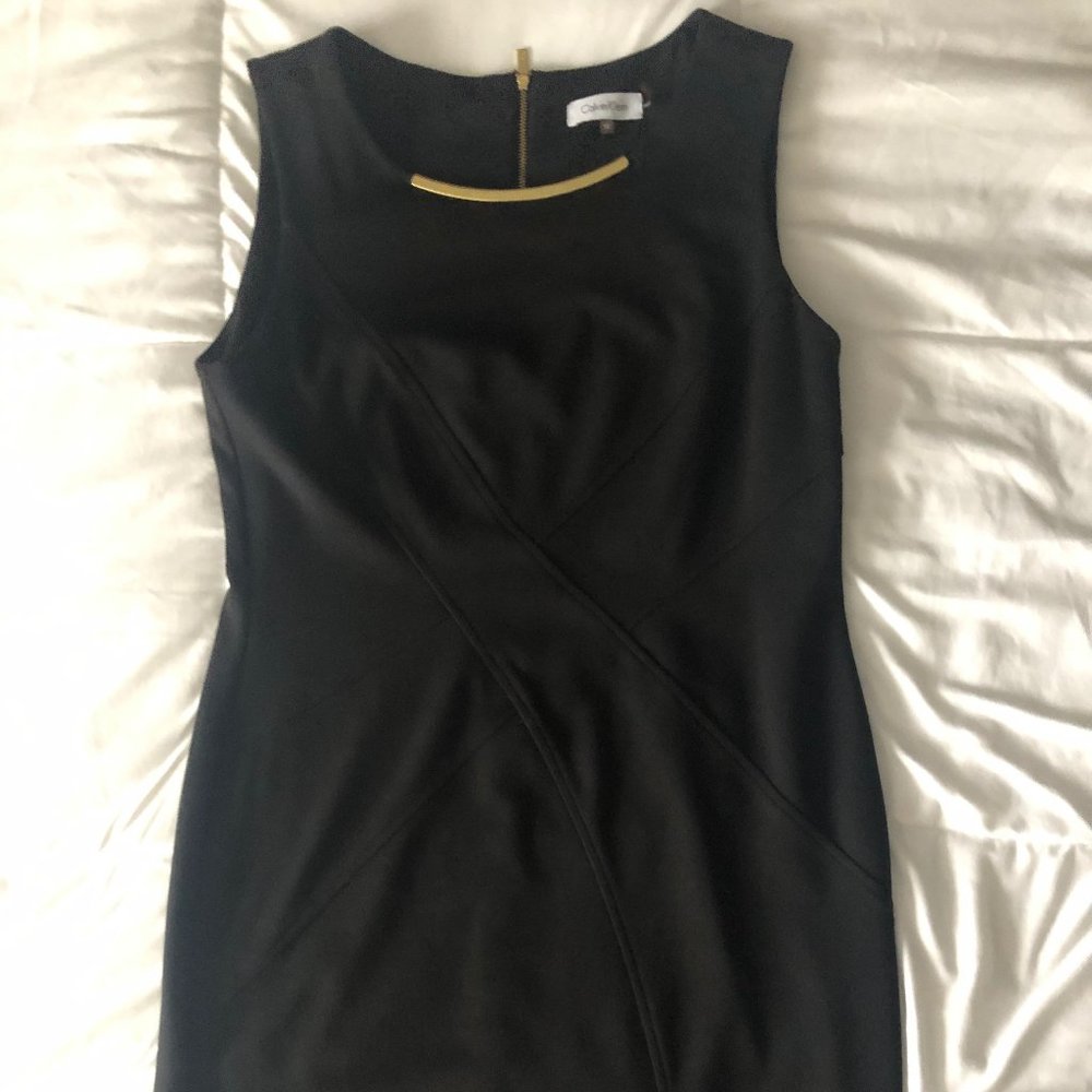 Calvin Klein Fitted Dress